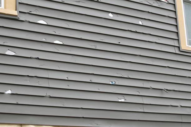 Reliable Pine Island, MN Siding Installation & Repair Solutions